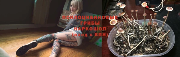 бошки Алексин