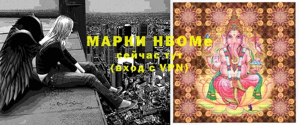 бошки Алексин