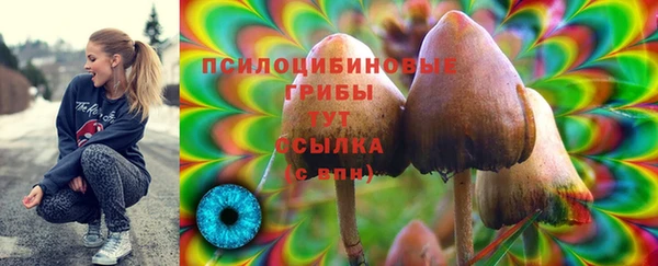 прущий лед Абаза