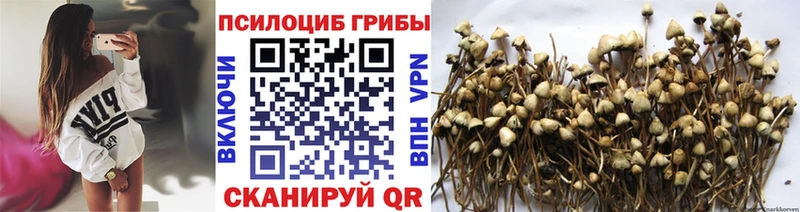 Галлюциногенные грибы Magic Shrooms даркнет как зайти Тюкалинск
